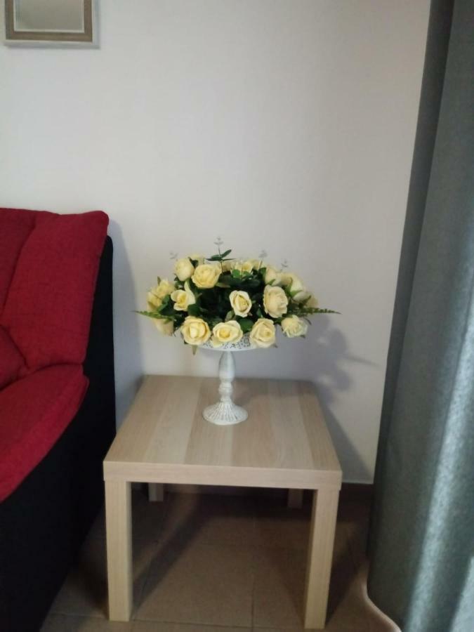 Apartamento Bediesta 圣克鲁斯-德拉帕尔马 外观 照片