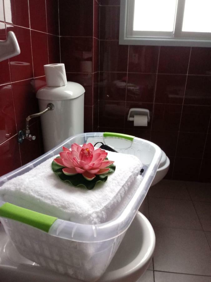 Apartamento Bediesta 圣克鲁斯-德拉帕尔马 外观 照片